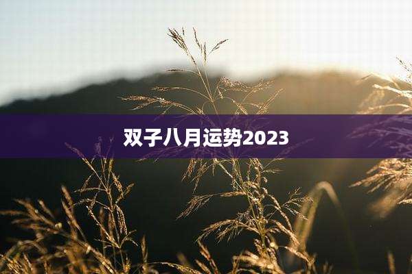 双子八月运势2023