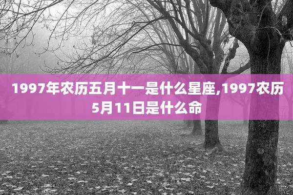 1997年农历五月十一是什么星座,1997农历5月11日是什么命