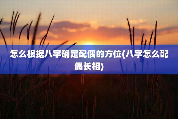 怎么根据八字确定配偶的方位(八字怎么配偶长相)