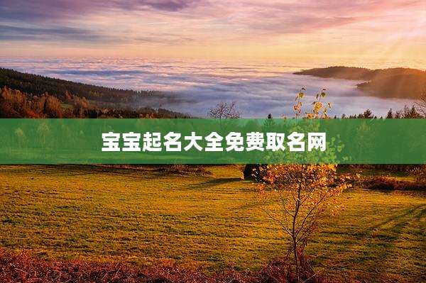 宝宝起名大全免费取名网
