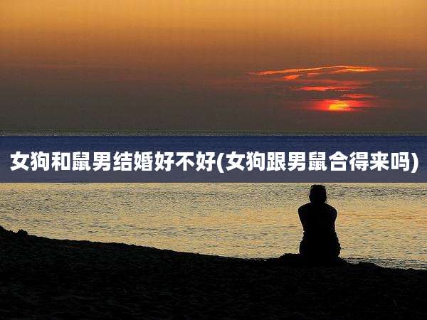 女狗和鼠男结婚好不好(女狗跟男鼠合得来吗)