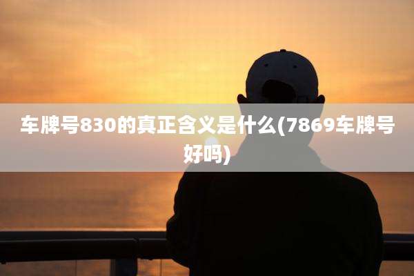 车牌号830的真正含义是什么(7869车牌号好吗)