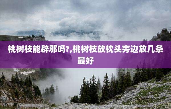 桃树枝能辟邪吗?,桃树枝放枕头旁边放几条最好