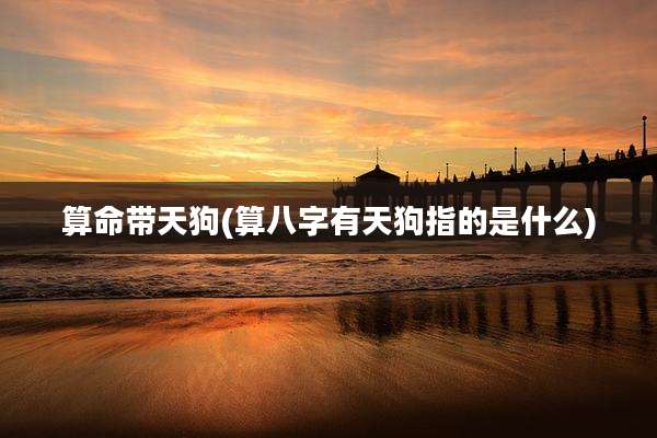 算命带天狗(算八字有天狗指的是什么)