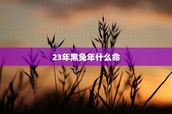 23年黑兔年什么命