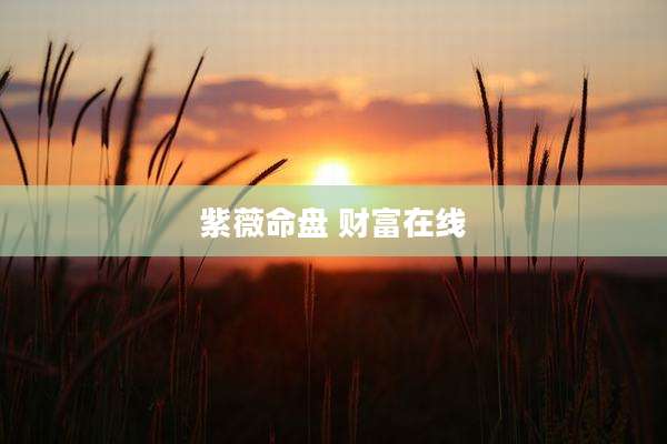 紫薇命盘 财富在线
