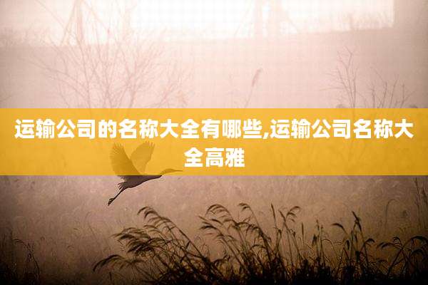 运输公司的名称大全有哪些,运输公司名称大全高雅