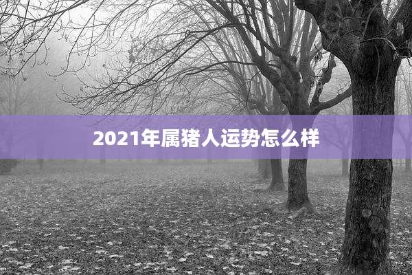 2021年属猪人运势怎么样