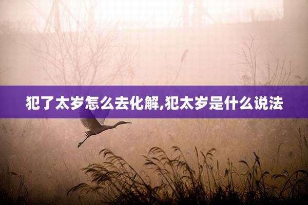 犯了太岁怎么去化解,犯太岁是什么说法