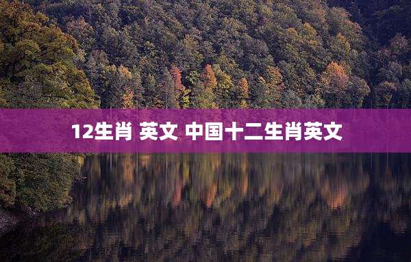 12生肖 英文 中国十二生肖英文