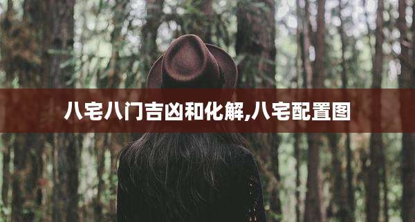 八宅八门吉凶和化解,八宅配置图