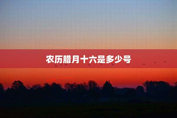 农历腊月十六是多少号