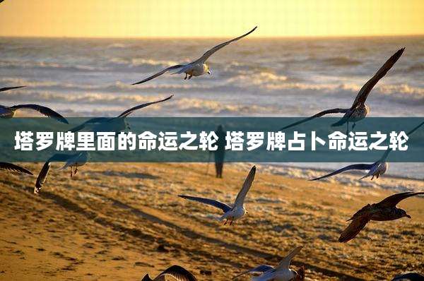 塔罗牌里面的命运之轮 塔罗牌占卜命运之轮