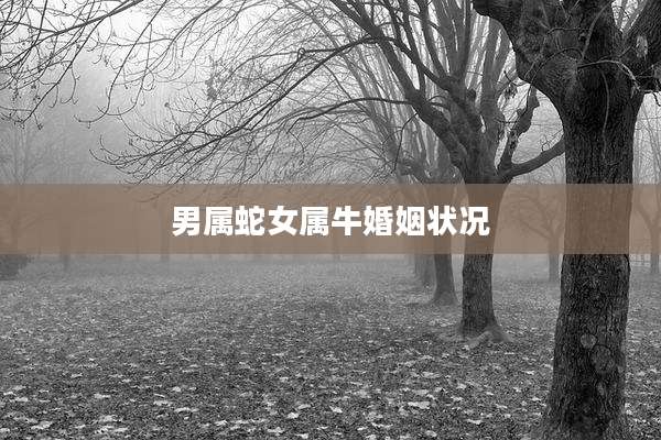 男属蛇女属牛婚姻状况