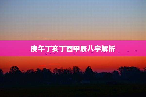 庚午丁亥丁酉甲辰八字解析