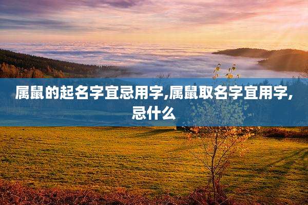 属鼠的起名字宜忌用字,属鼠取名字宜用字,忌什么