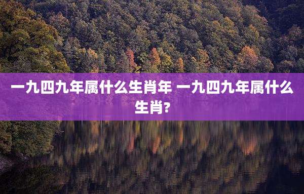 一九四九年属什么生肖年 一九四九年属什么生肖?