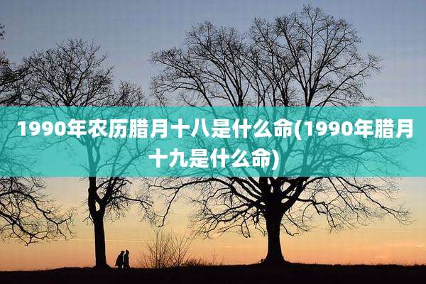 1990年农历腊月十八是什么命(1990年腊月十九是什么命)
