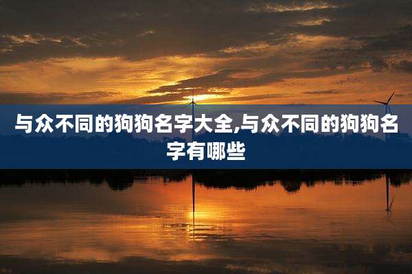 与众不同的狗狗名字大全,与众不同的狗狗名字有哪些