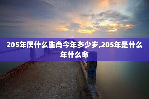 205年属什么生肖今年多少岁,205年是什么年什么命