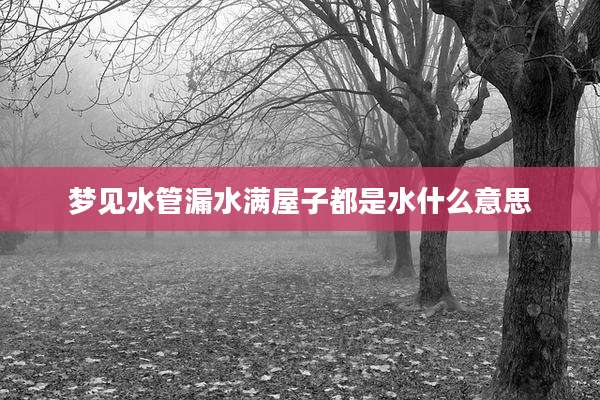 梦见水管漏水满屋子都是水什么意思