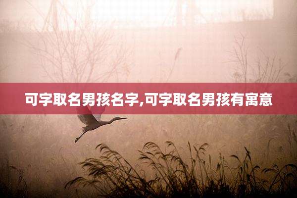 可字取名男孩名字,可字取名男孩有寓意