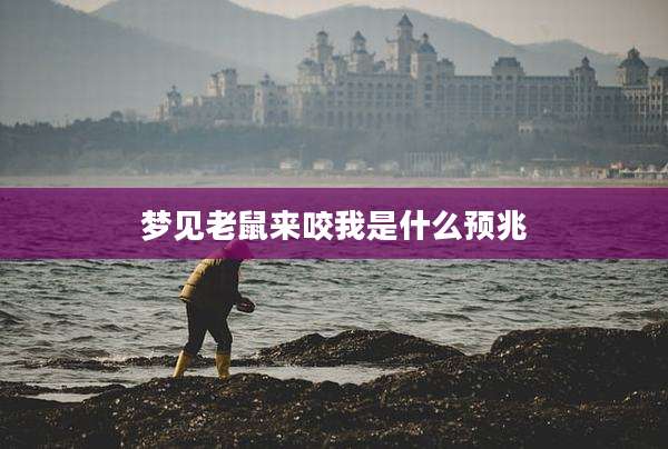 梦见老鼠来咬我是什么预兆