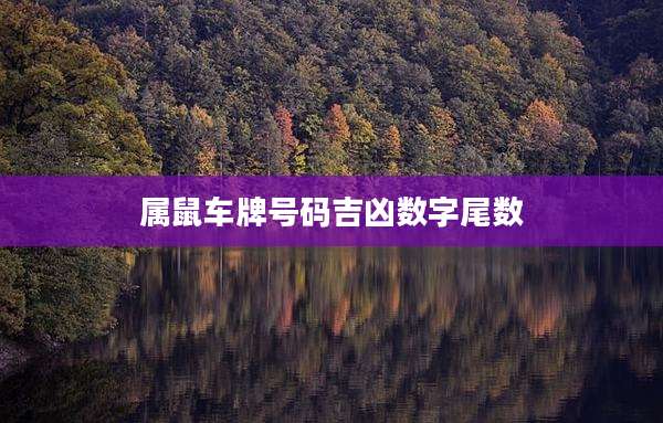 属鼠车牌号码吉凶数字尾数