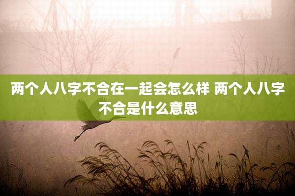 两个人八字不合在一起会怎么样 两个人八字不合是什么意思