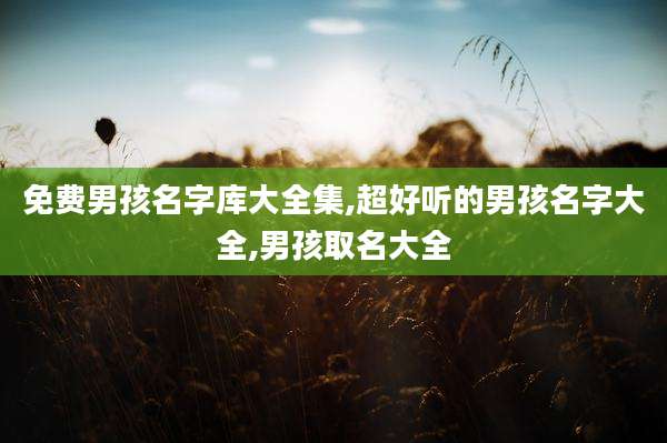 免费男孩名字库大全集,超好听的男孩名字大全,男孩取名大全