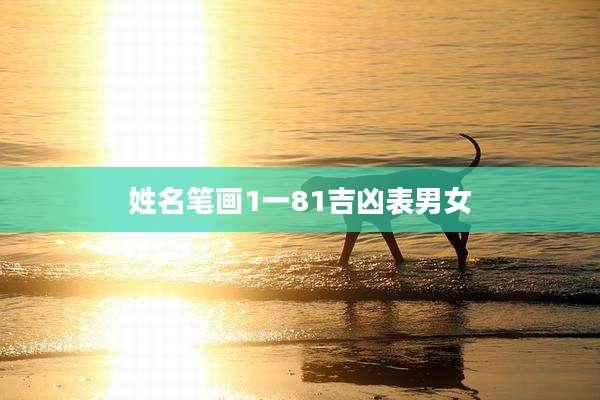 姓名笔画1一81吉凶表男女