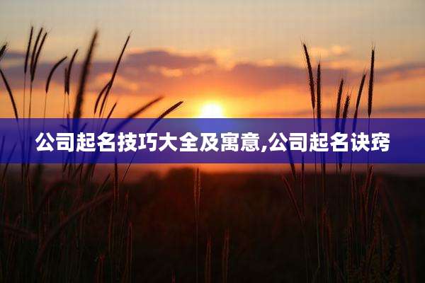 公司起名技巧大全及寓意,公司起名诀窍