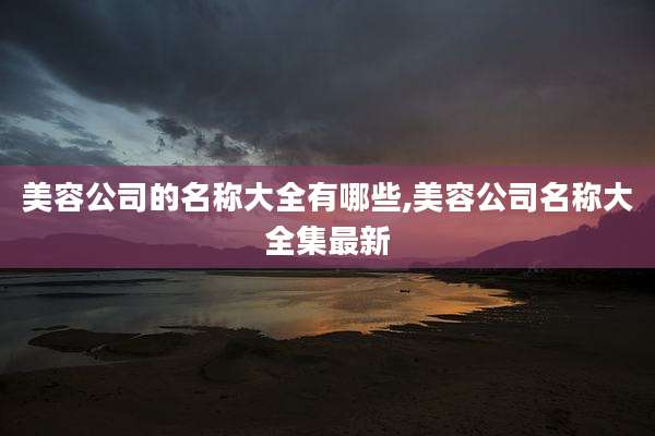 美容公司的名称大全有哪些,美容公司名称大全集最新