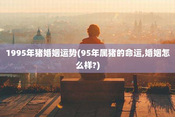1995年猪婚姻运势(95年属猪的命运,婚姻怎么样?)