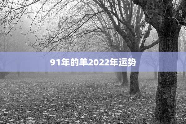 91年的羊2022年运势