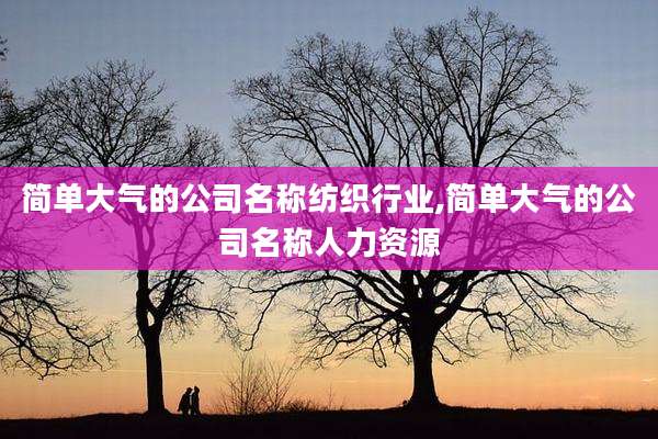简单大气的公司名称纺织行业,简单大气的公司名称人力资源