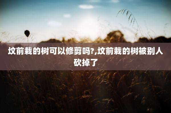 坟前栽的树可以修剪吗?,坟前栽的树被别人砍掉了