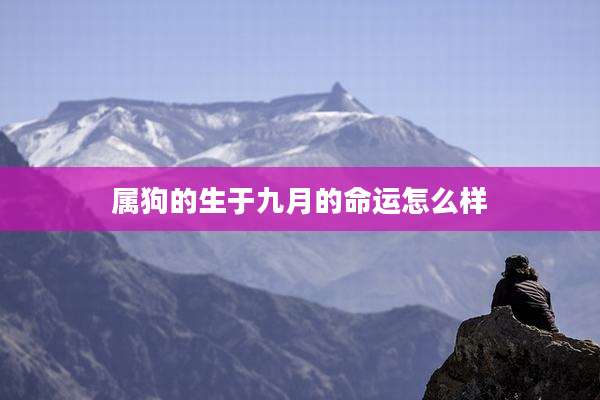 属狗的生于九月的命运怎么样