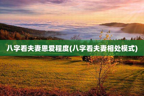 八字看夫妻恩爱程度(八字看夫妻相处模式)