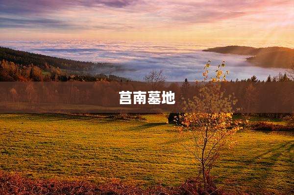 莒南墓地