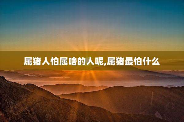 属猪人怕属啥的人呢,属猪最怕什么