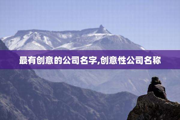 最有创意的公司名字,创意性公司名称