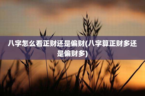 八字怎么看正财还是偏财(八字算正财多还是偏财多)