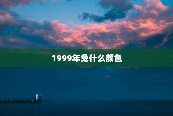 1999年兔什么颜色