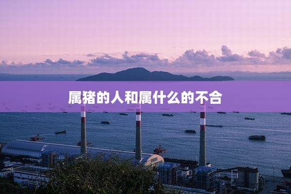 属猪的人和属什么的不合