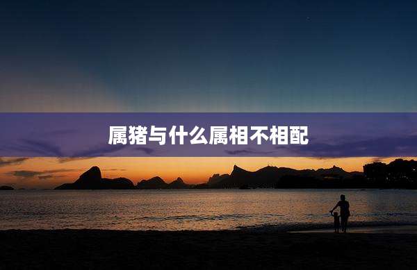 属猪与什么属相不相配