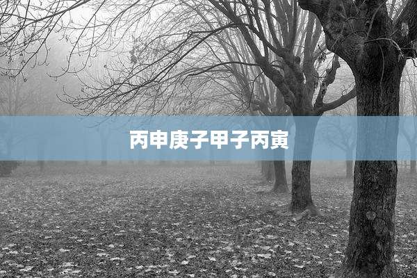 丙申庚子甲子丙寅