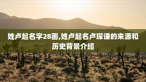 姓卢起名字28画,姓卢起名卢琛谦的来源和历史背景介绍
