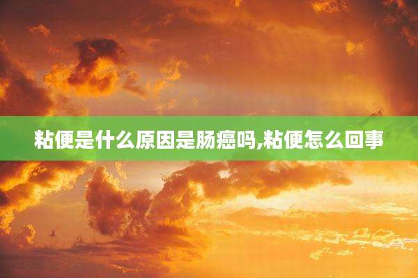 粘便是什么原因是肠癌吗,粘便怎么回事