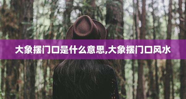 大象摆门口是什么意思,大象摆门口风水
